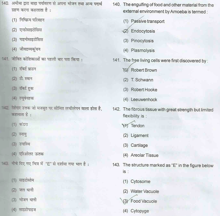 JSTSE 2015 Question Paper